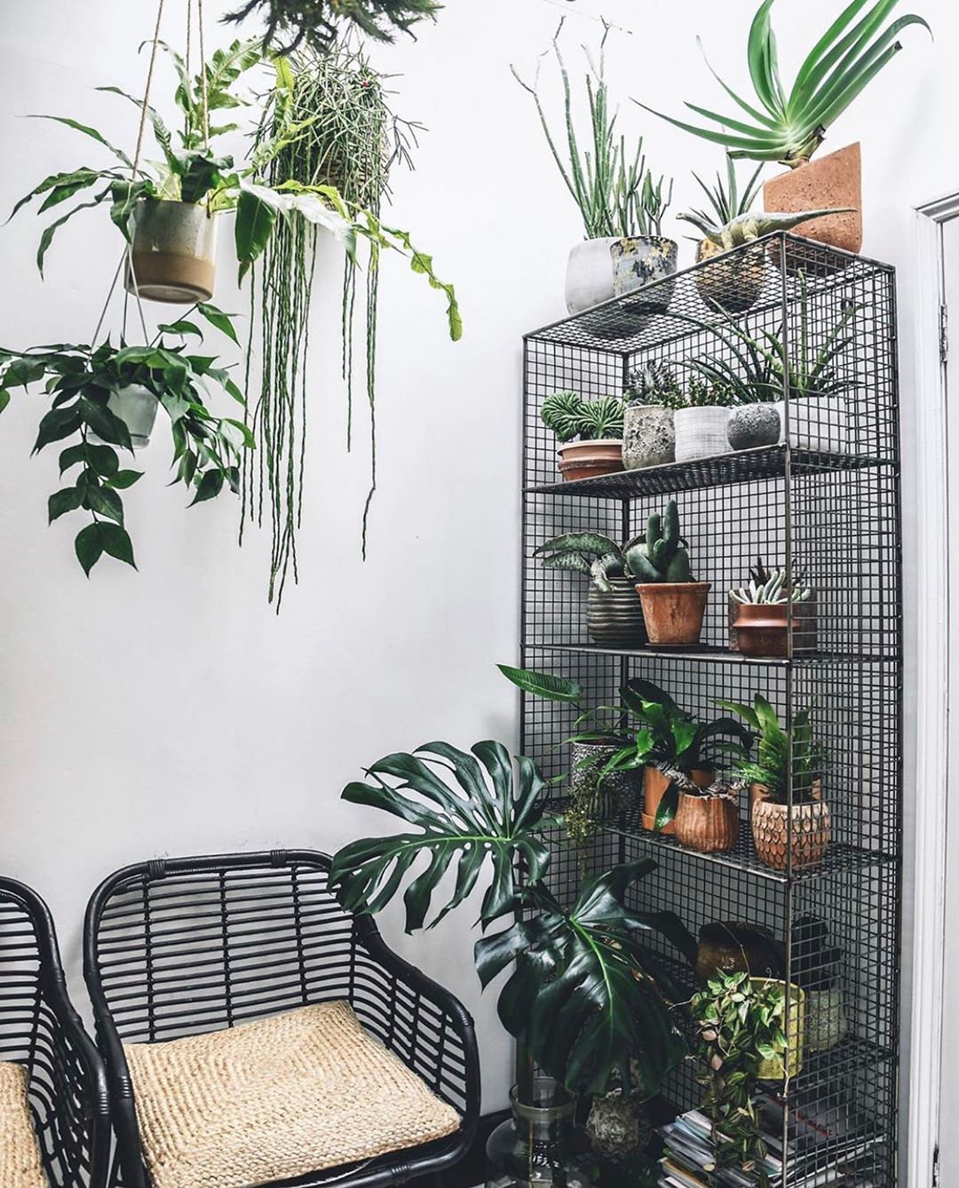 To give you some indoor plants decor inspiration, we have found 60 indoor plants decor and plant shelves ideas. You can decorate your bedroom, kids room, living room, kitchen, and dining room with indoor plants.