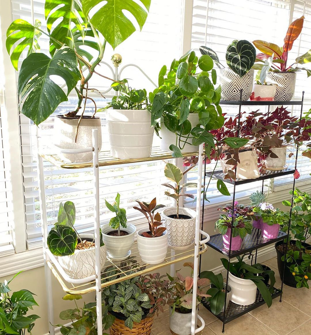 To give you some indoor plants decor inspiration, we have found 60 indoor plants decor and plant shelves ideas. You can decorate your bedroom, kids room, living room, kitchen, and dining room with indoor plants.