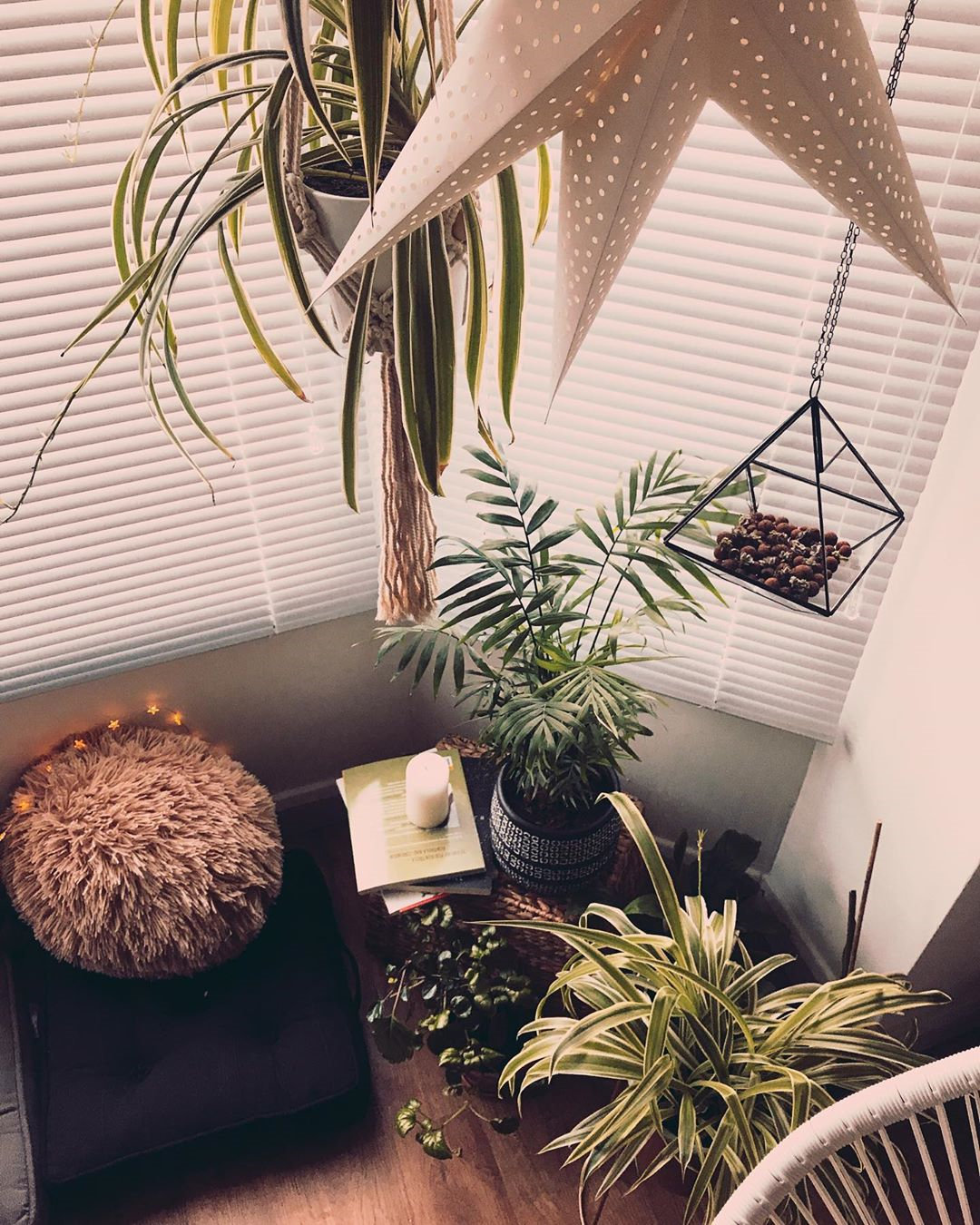 To give you some indoor plants decor inspiration, we have found 60 indoor plants decor and plant shelves ideas. You can decorate your bedroom, kids room, living room, kitchen, and dining room with indoor plants.