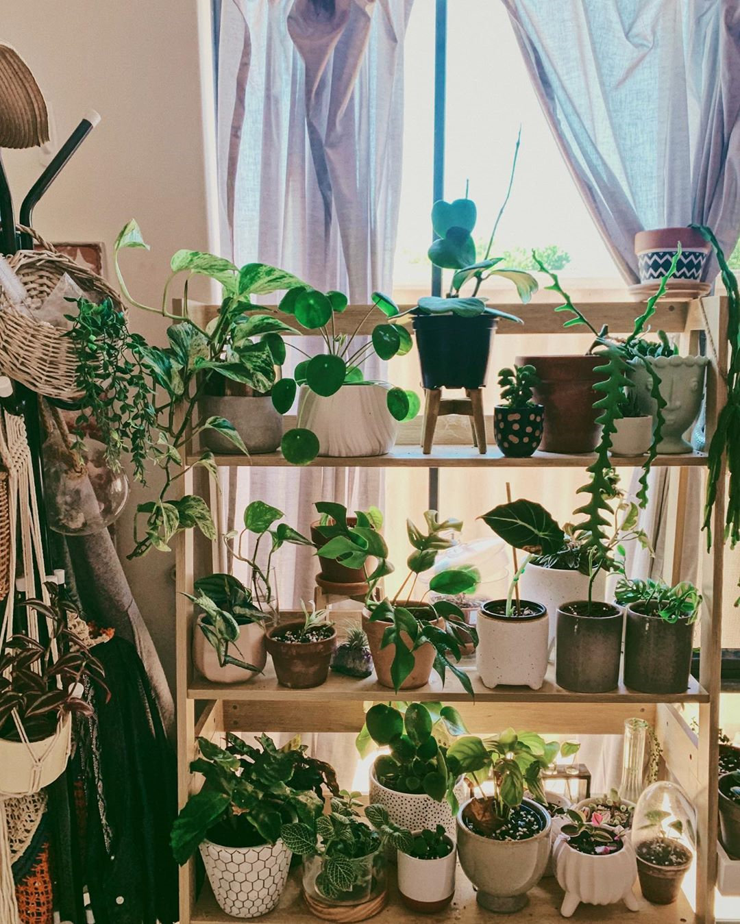 To give you some indoor plants decor inspiration, we have found 60 indoor plants decor and plant shelves ideas. You can decorate your bedroom, kids room, living room, kitchen, and dining room with indoor plants.