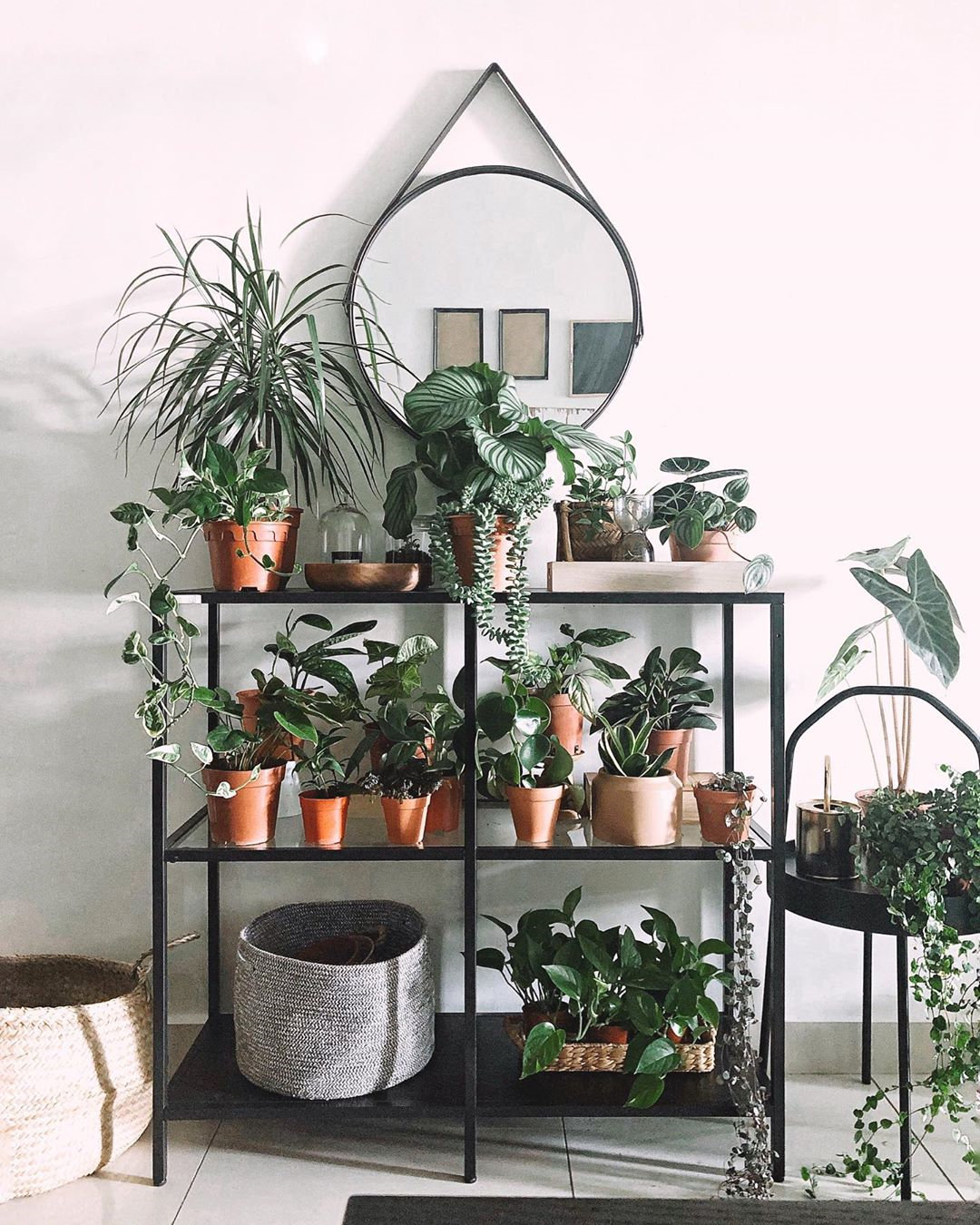 To give you some indoor plants decor inspiration, we have found 60 indoor plants decor and plant shelves ideas. You can decorate your bedroom, kids room, living room, kitchen, and dining room with indoor plants.