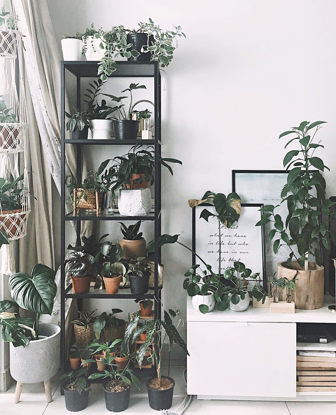 To give you some indoor plants decor inspiration, we have found 60 indoor plants decor and plant shelves ideas. You can decorate your bedroom, kids room, living room, kitchen, and dining room with indoor plants.