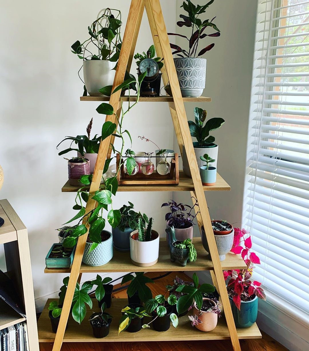 To give you some indoor plants decor inspiration, we have found 60 indoor plants decor and plant shelves ideas. You can decorate your bedroom, kids room, living room, kitchen, and dining room with indoor plants.