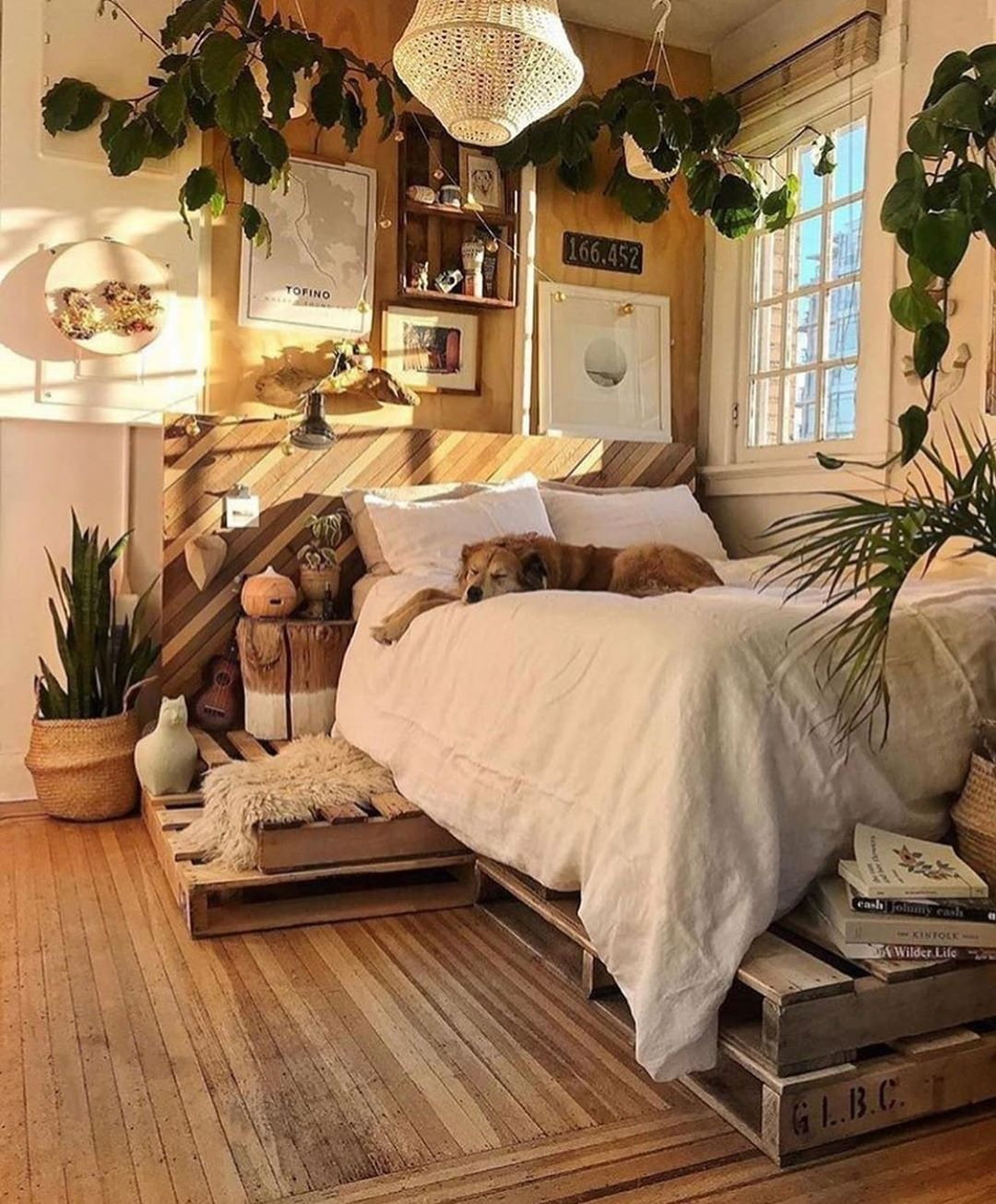 To give you some indoor plants decor inspiration, we have found 60 indoor plants decor and plant shelves ideas. You can decorate your bedroom, kids room, living room, kitchen, and dining room with indoor plants.