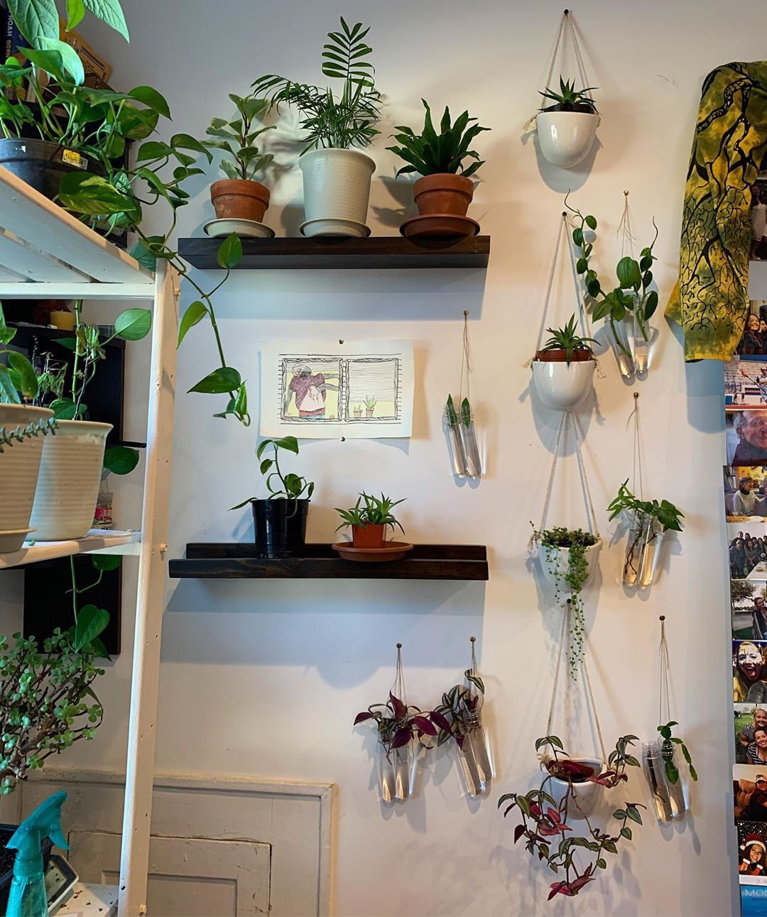 To give you some indoor plants decor inspiration, we have found 60 indoor plants decor and plant shelves ideas. You can decorate your bedroom, kids room, living room, kitchen, and dining room with indoor plants.