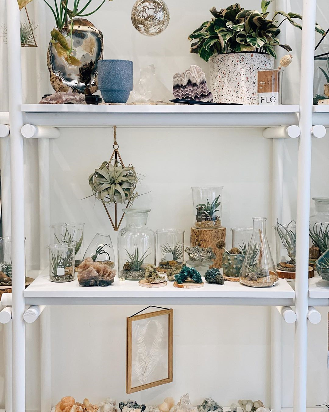 To give you some indoor plants decor inspiration, we have found 60 indoor plants decor and plant shelves ideas. You can decorate your bedroom, kids room, living room, kitchen, and dining room with indoor plants.