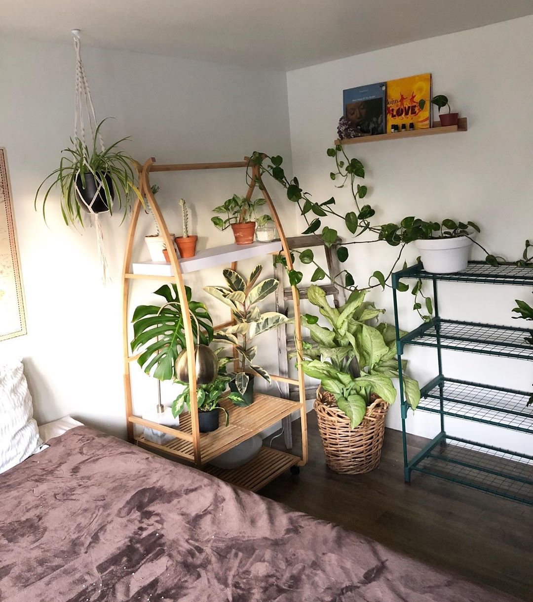 To give you some indoor plants decor inspiration, we have found 60 indoor plants decor and plant shelves ideas. You can decorate your bedroom, kids room, living room, kitchen, and dining room with indoor plants.