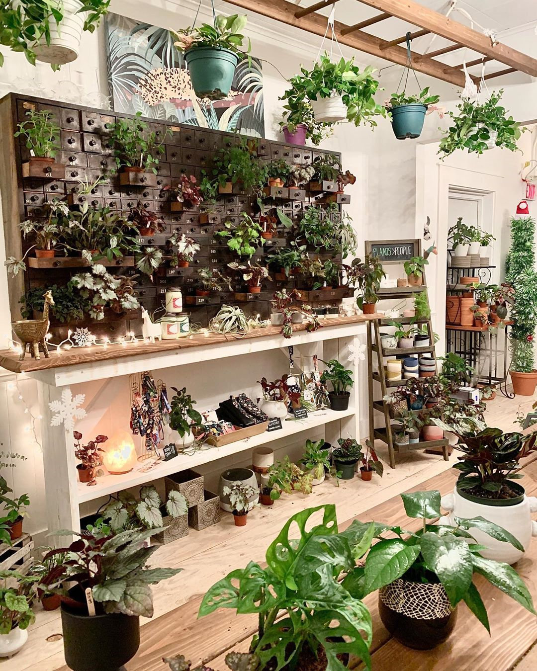 To give you some indoor plants decor inspiration, we have found 60 indoor plants decor and plant shelves ideas. You can decorate your bedroom, kids room, living room, kitchen, and dining room with indoor plants.