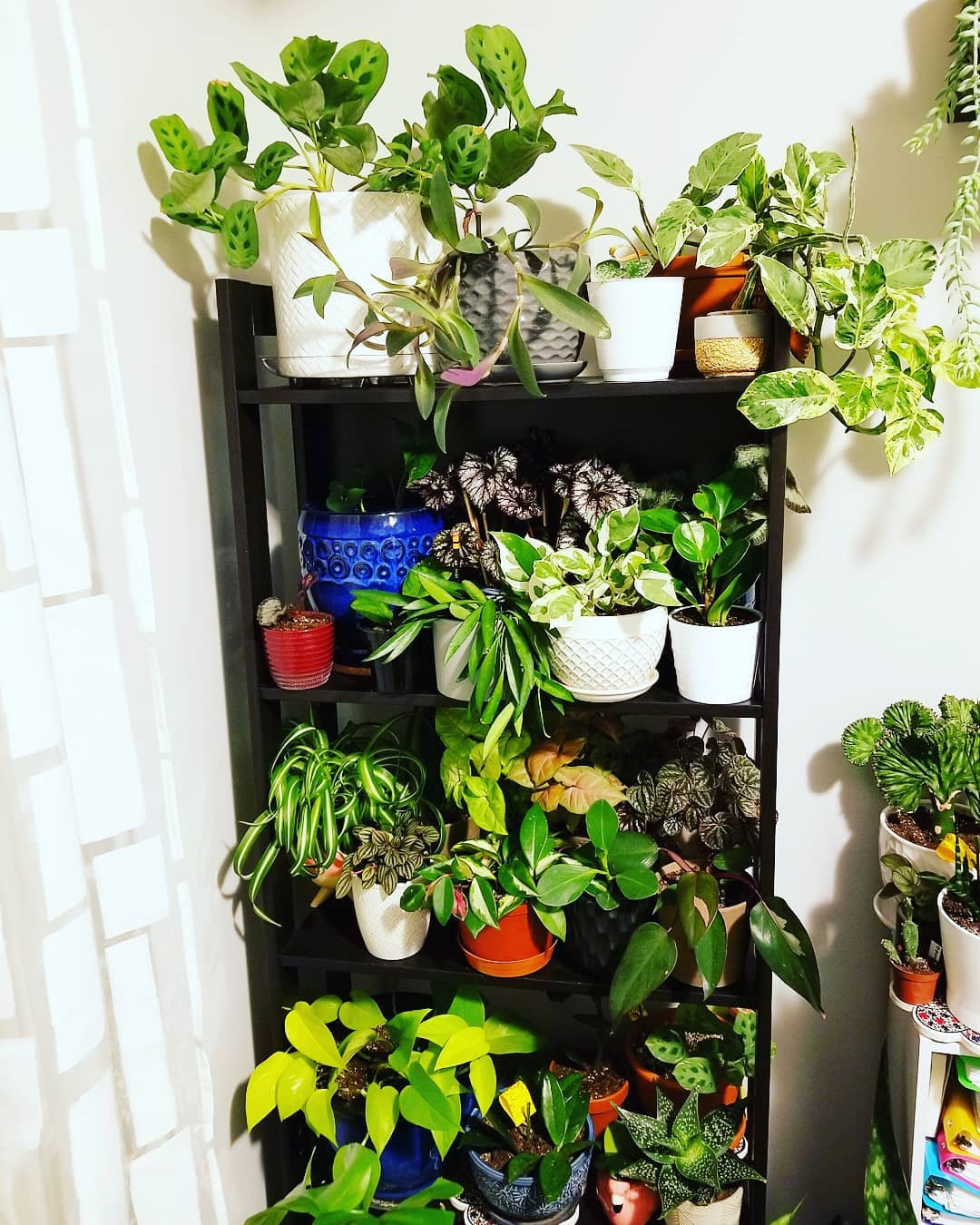 To give you some indoor plants decor inspiration, we have found 60 indoor plants decor and plant shelves ideas. You can decorate your bedroom, kids room, living room, kitchen, and dining room with indoor plants.