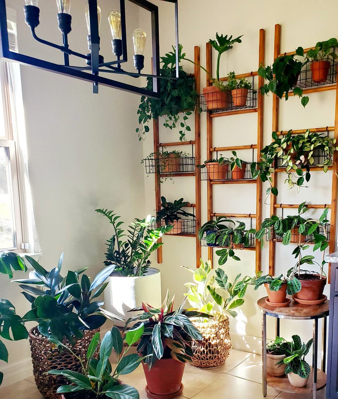 To give you some indoor plants decor inspiration, we have found 60 indoor plants decor and plant shelves ideas. You can decorate your bedroom, kids room, living room, kitchen, and dining room with indoor plants.