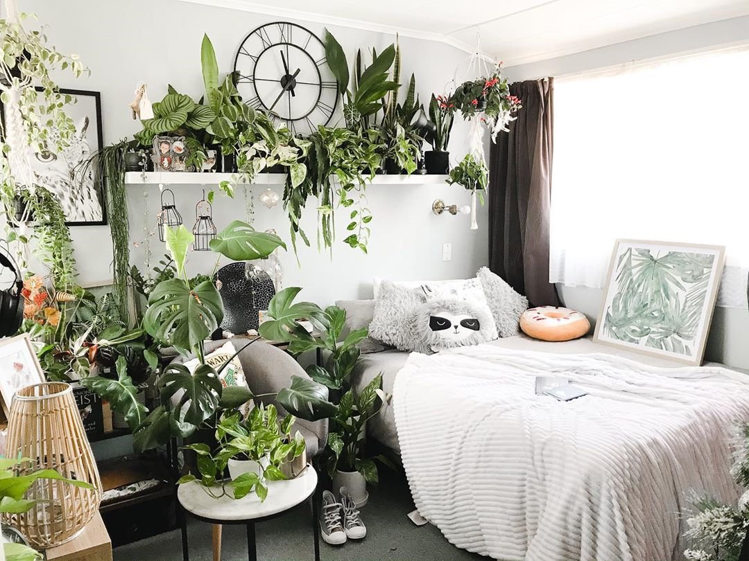 To give you some indoor plants decor inspiration, we have found 60 indoor plants decor and plant shelves ideas. You can decorate your bedroom, kids room, living room, kitchen, and dining room with indoor plants.