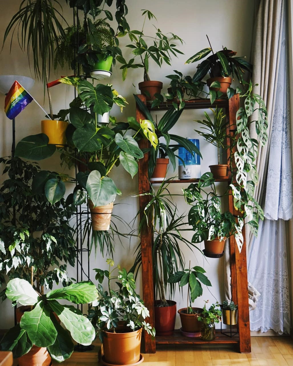 To give you some indoor plants decor inspiration, we have found 60 indoor plants decor and plant shelves ideas. You can decorate your bedroom, kids room, living room, kitchen, and dining room with indoor plants.