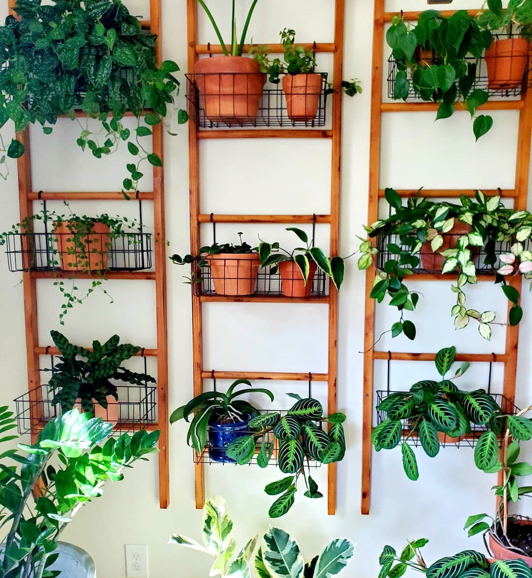 To give you some indoor plants decor inspiration, we have found 60 indoor plants decor and plant shelves ideas. You can decorate your bedroom, kids room, living room, kitchen, and dining room with indoor plants.