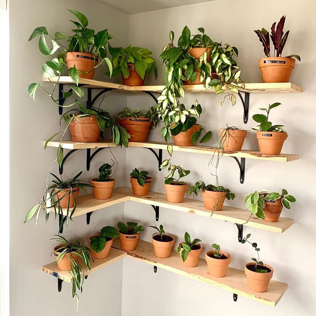 To give you some indoor plants decor inspiration, we have found 60 indoor plants decor and plant shelves ideas. You can decorate your bedroom, kids room, living room, kitchen, and dining room with indoor plants.