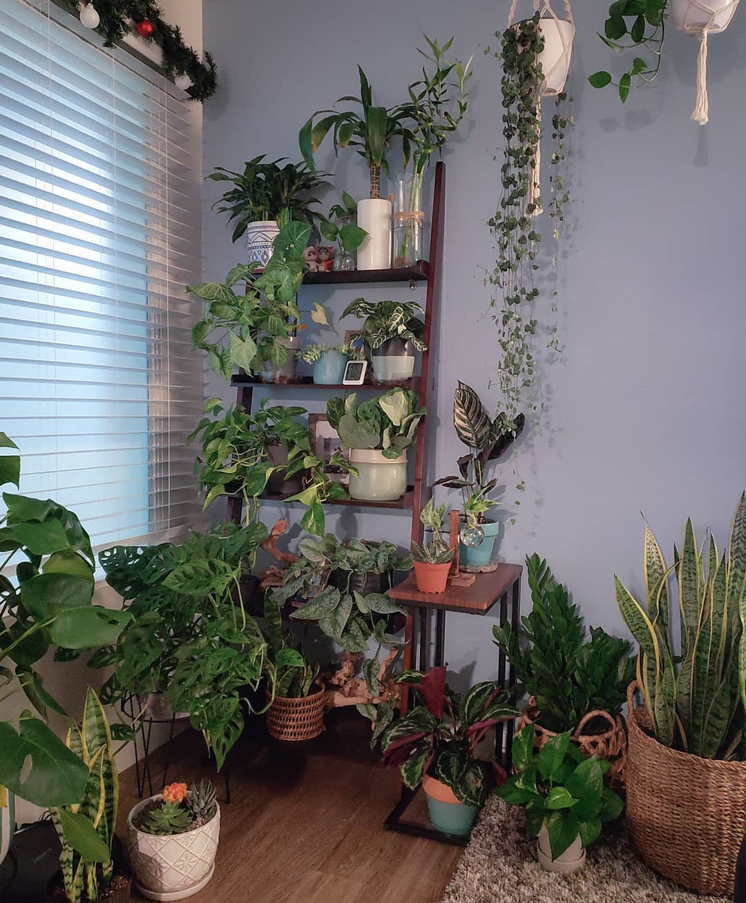 To give you some indoor plants decor inspiration, we have found 60 indoor plants decor and plant shelves ideas. You can decorate your bedroom, kids room, living room, kitchen, and dining room with indoor plants.