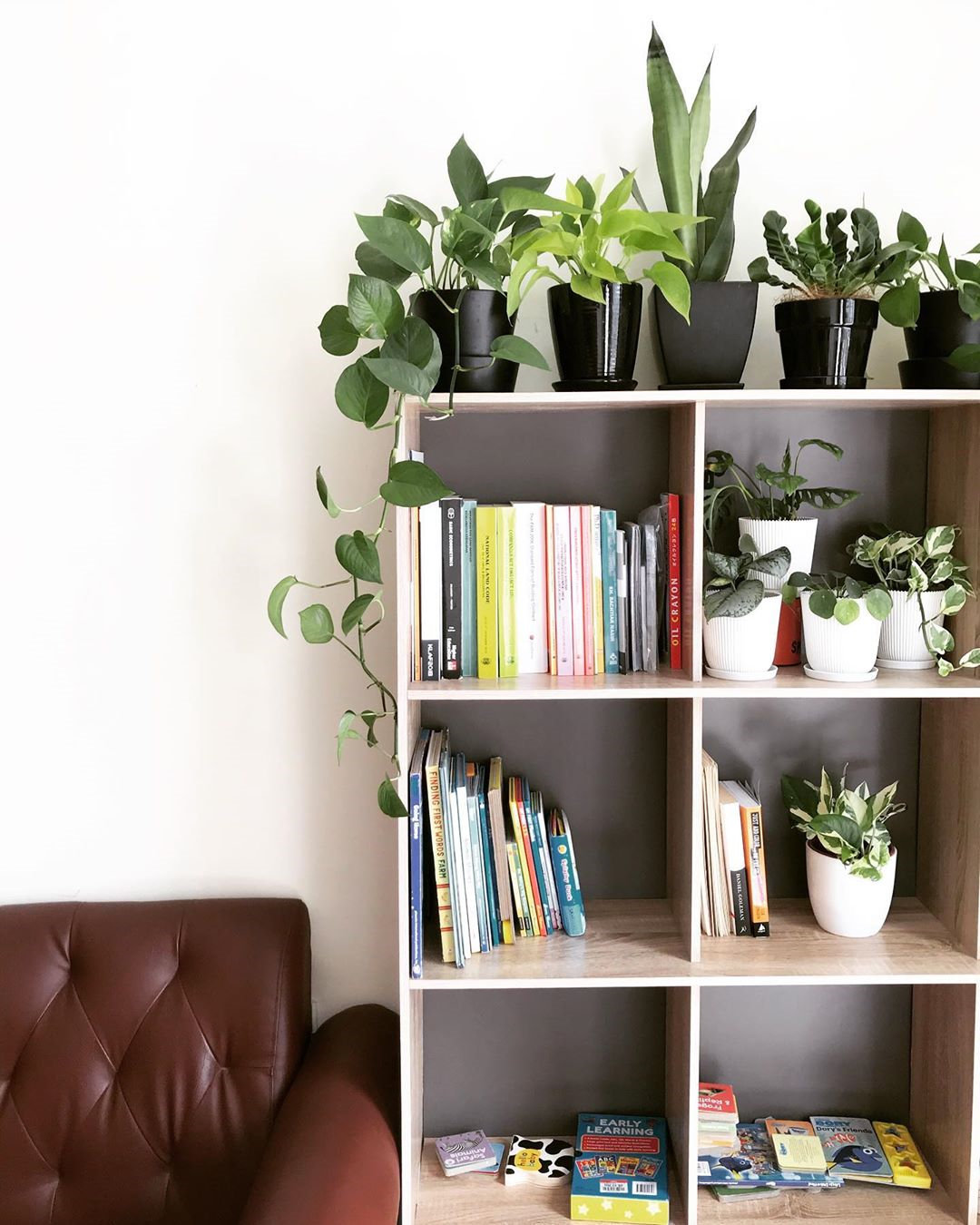 To give you some indoor plants decor inspiration, we have found 60 indoor plants decor and plant shelves ideas. You can decorate your bedroom, kids room, living room, kitchen, and dining room with indoor plants.