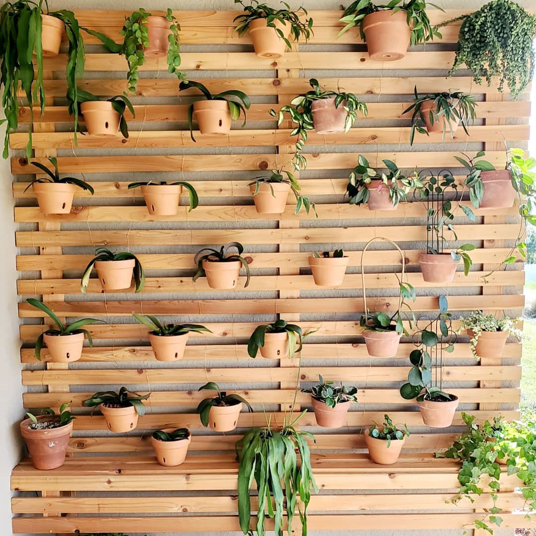 To give you some indoor plants decor inspiration, we have found 60 indoor plants decor and plant shelves ideas. You can decorate your bedroom, kids room, living room, kitchen, and dining room with indoor plants.