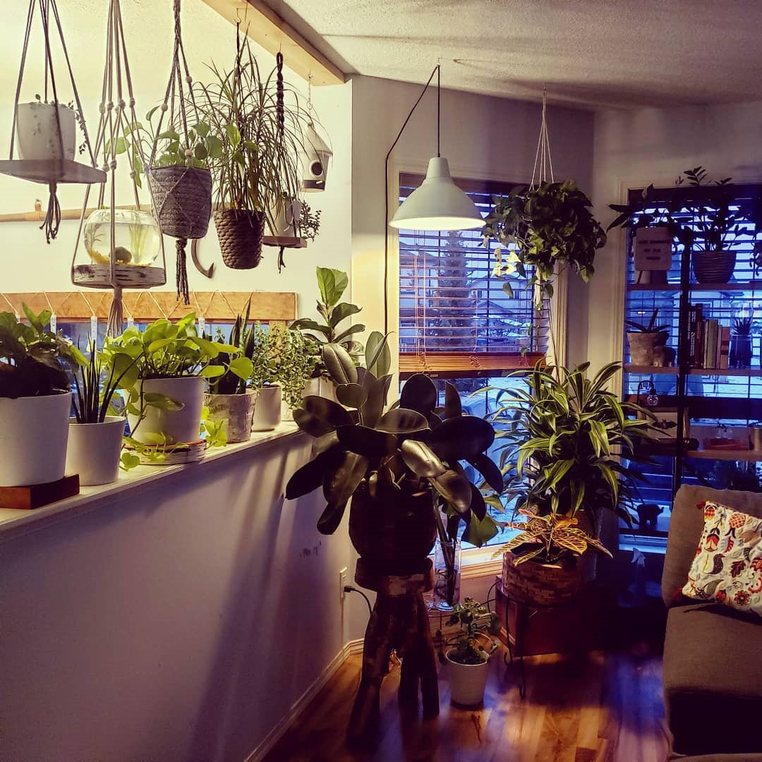 To give you some indoor plants decor inspiration, we have found 60 indoor plants decor and plant shelves ideas. You can decorate your bedroom, kids room, living room, kitchen, and dining room with indoor plants.