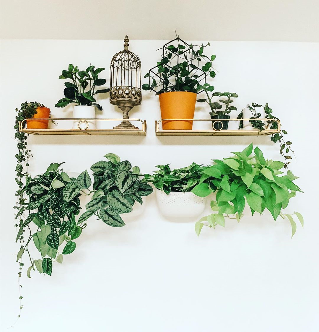 To give you some indoor plants decor inspiration, we have found 60 indoor plants decor and plant shelves ideas. You can decorate your bedroom, kids room, living room, kitchen, and dining room with indoor plants.