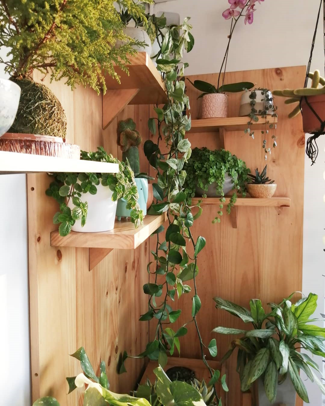 To give you some indoor plants decor inspiration, we have found 60 indoor plants decor and plant shelves ideas. You can decorate your bedroom, kids room, living room, kitchen, and dining room with indoor plants.