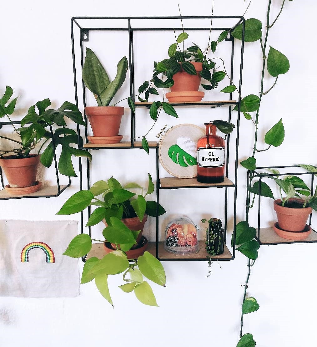 To give you some indoor plants decor inspiration, we have found 60 indoor plants decor and plant shelves ideas. You can decorate your bedroom, kids room, living room, kitchen, and dining room with indoor plants.