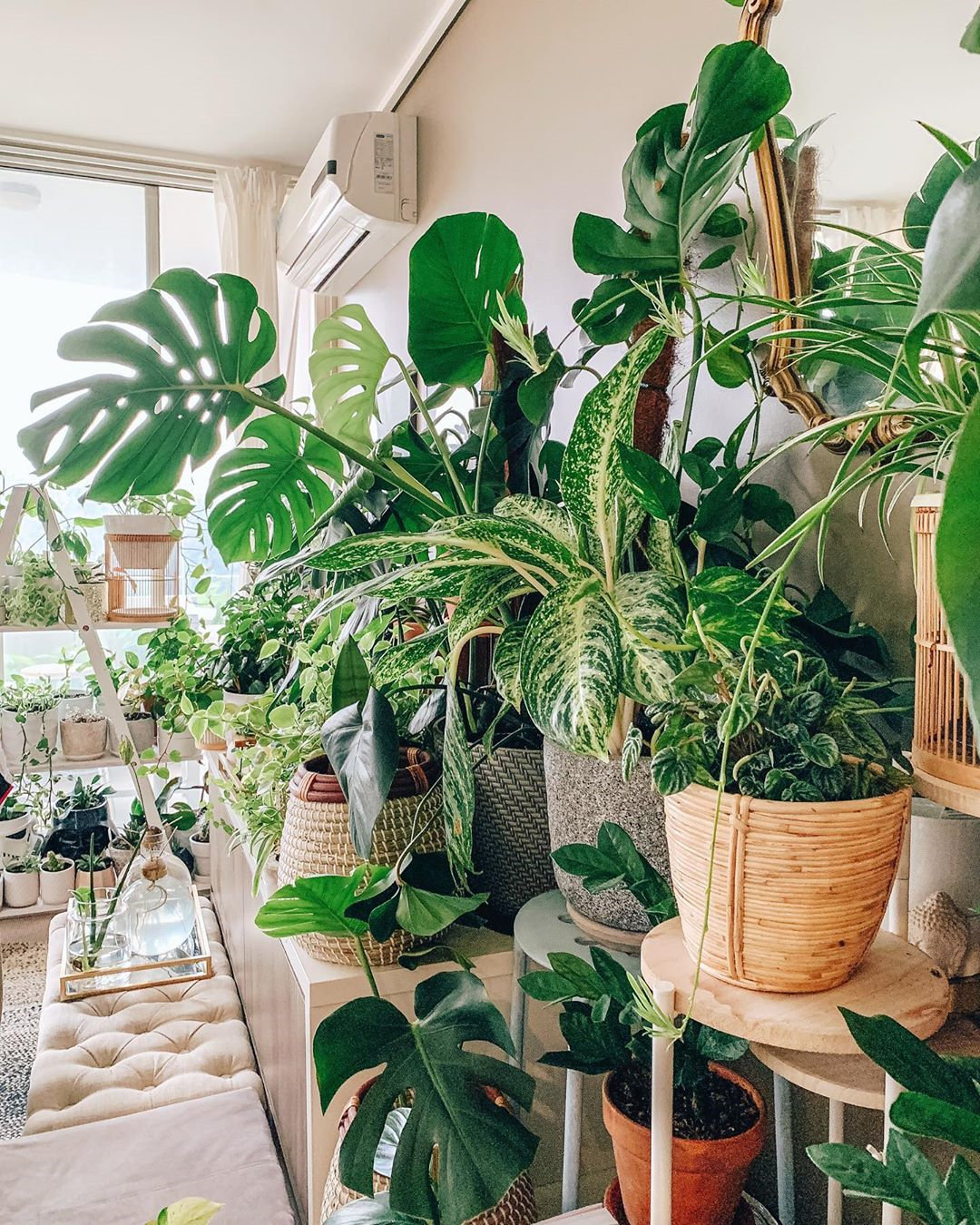 To give you some indoor plants decor inspiration, we have found 60 indoor plants decor and plant shelves ideas. You can decorate your bedroom, kids room, living room, kitchen, and dining room with indoor plants.