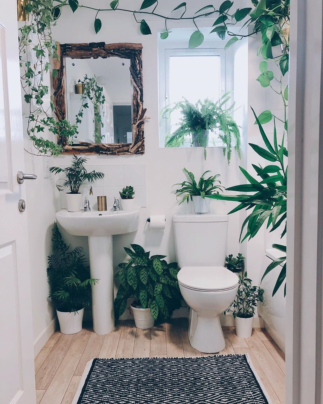 To give you some indoor plants decor inspiration, we have found 60 indoor plants decor and plant shelves ideas. You can decorate your bedroom, kids room, living room, kitchen, and dining room with indoor plants.