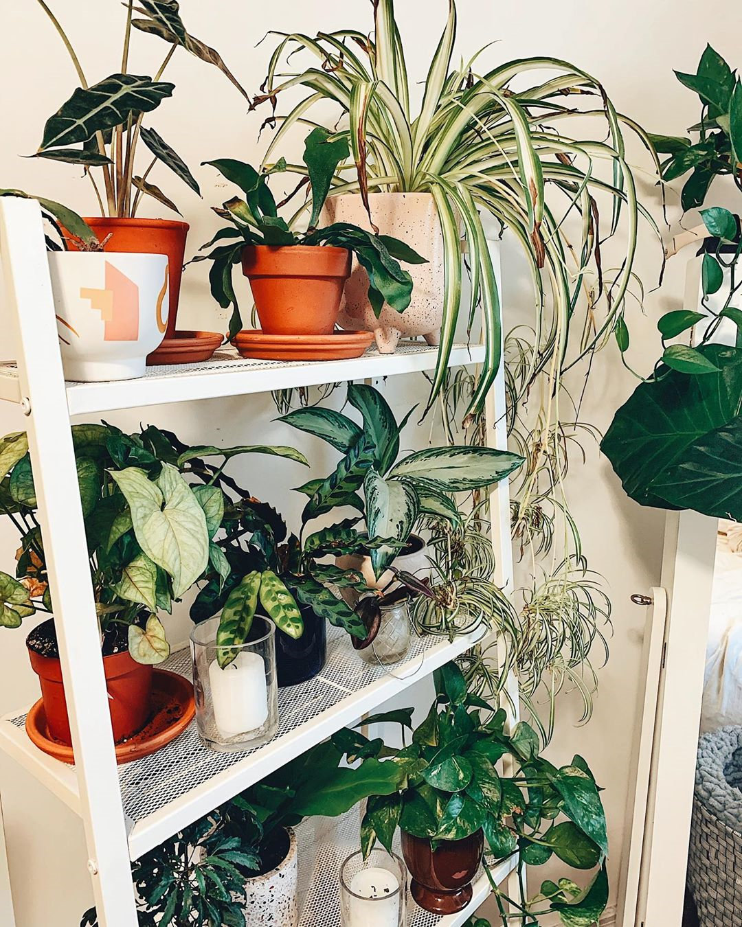 To give you some indoor plants decor inspiration, we have found 60 indoor plants decor and plant shelves ideas. You can decorate your bedroom, kids room, living room, kitchen, and dining room with indoor plants.