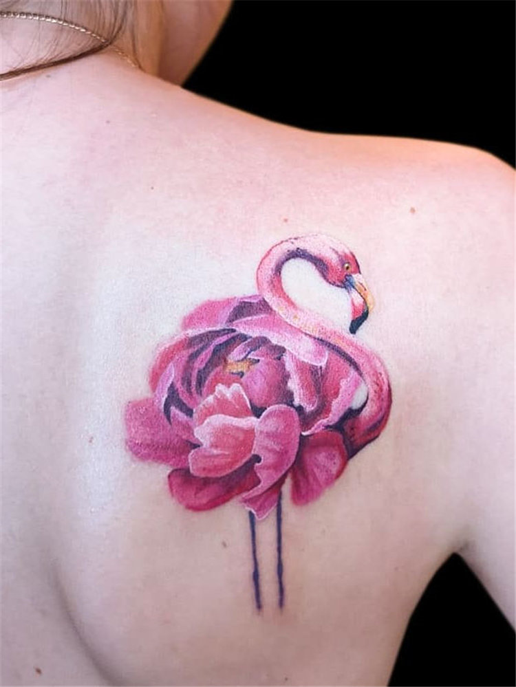 Premium Vector  Flamingo bird tattoo design vector illustration