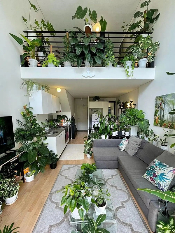 Indoor Plants Decor Inspiration